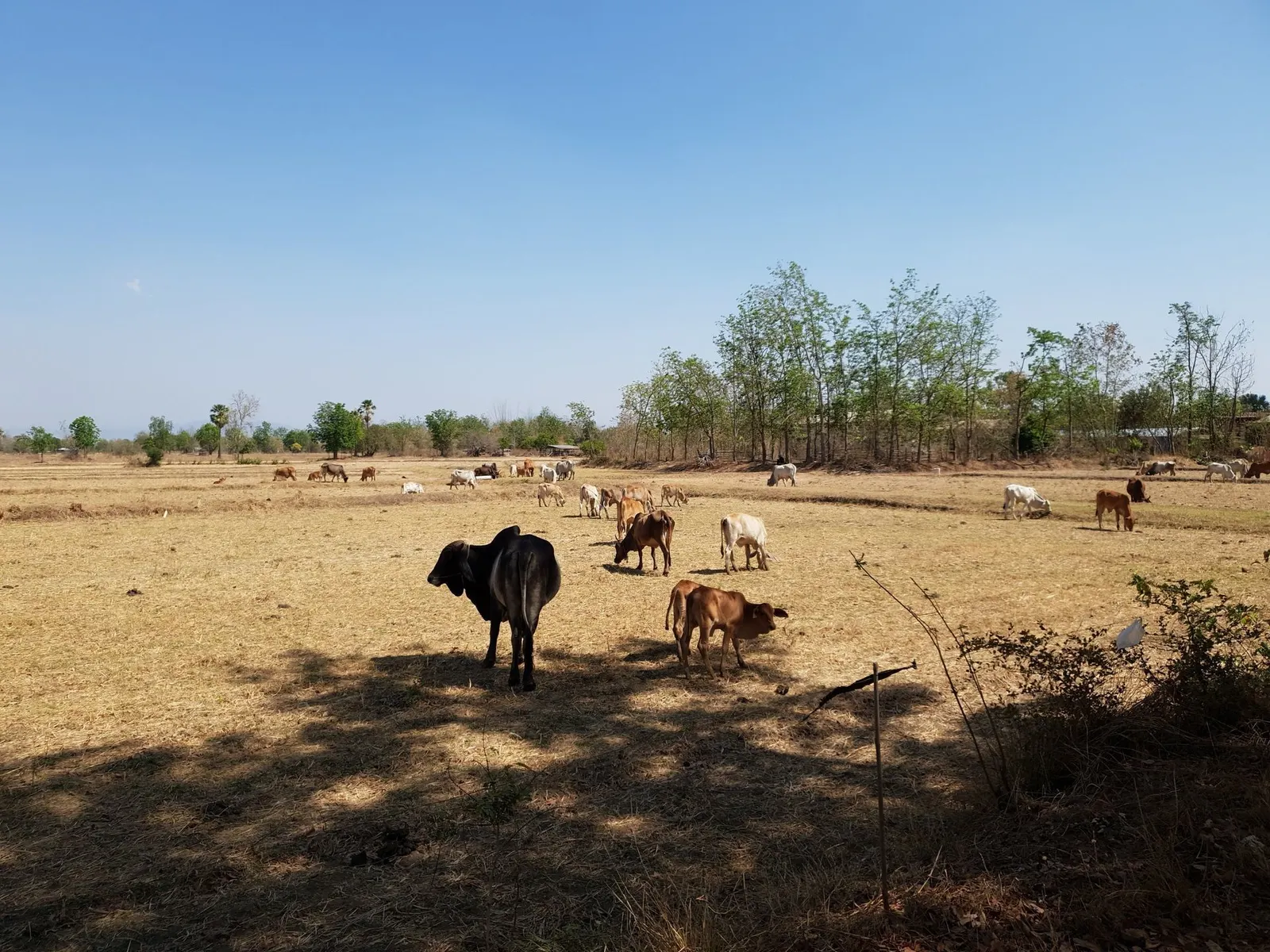 North to South Vietnam Bike Tour: The Ultimate Cycling Adventure Across Vietnam